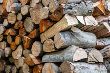 Karışık türlerden yakacak odun yığını.