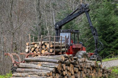 Ormanda odunları katlayan özel traktör yönlendiricisi. Karpatlar, Polonya.