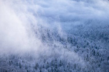 Güzel kış dağ manzarası. Polonya 'nın Bieszczady Ulusal Parkı' ndaki Smerek Dağı 'ndan görülen kasvetli gün batımı.