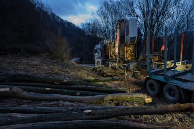 Gece bir kamyona odun yüklemek.