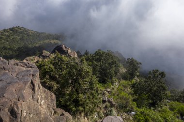 A view on the Raidah Nature Sanctuary from Jabal Sawda, the highest peak in Saudi Arabia. clipart