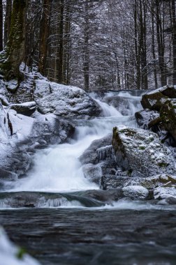 Zatwarnica köyündeki Hylaty nehrinde Szepit şelalesi. Bieszczady Dağları, Polonya.