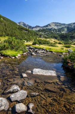 Bulgaristan 'ın Pirin Dağları' nın yaz manzarası fotoğrafı. Balkan Yarımadası 'nın en popüler tatil beldelerinden biri..