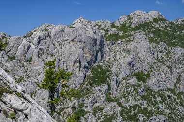 Velebit Dağları 'ndaki Pakistan Ulusal Parkı manzarası. Hırvatistan 'ın en popüler seyahat beldelerinden biri. 