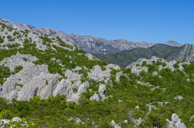 Scenic view of Paklenica National Park in the Velebit Mountains. One of the most popular travel destination in Croatia.  clipart