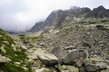 Tatra Dağları 'nın yaz manzarası. Büyük Soğuk Vadi, Slovakya.