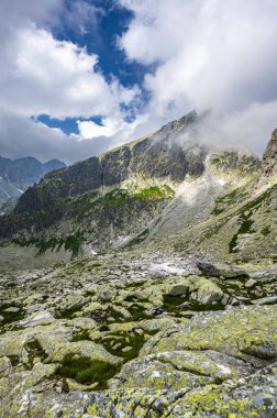 Tatra Dağları 'nın yaz manzarası. Javorovy Tepesi.