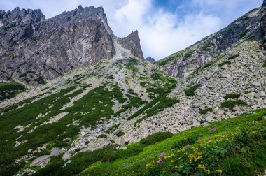 Tatra Dağları 'nın yaz manzarası. Küçük Soğuk Vadi, Slovakya.