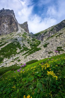 Tatra Dağları 'nın yaz manzarası. Küçük Soğuk Vadi, Slovakya.
