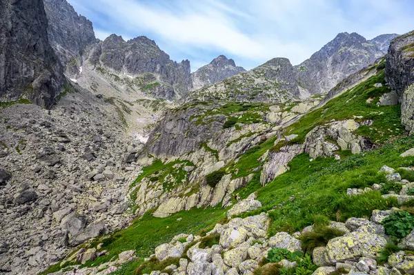 Tatra Dağları 'nın yaz manzarası. Küçük Soğuk Vadi, Slovakya.