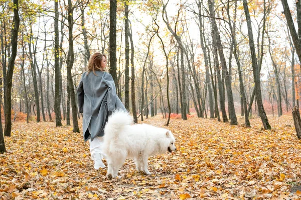 Vacker Kvinna Vit Klänning Promenader Höstparken Med Vit Hund Rödhårig — Stockfoto