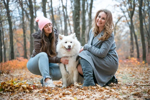 Sonbahar parkında Samoyed köpeğiyle gülümseyen iki güzel kız. Kızıl saçlı ve esmer kadınlar pofuduk güzel köpekle eğleniyor.