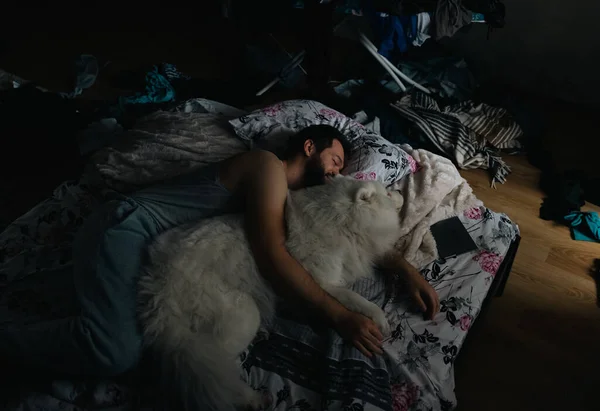 Молодой Человек Спит Постели Собакой Парень Обнимает Самоедового Пса Социальная — стоковое фото