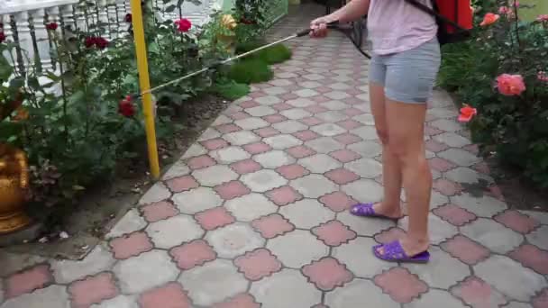 Pulverização Pesticidas Mulher Trabalhando Jardim Com Pulverização Fumigação Spray Controle — Vídeo de Stock
