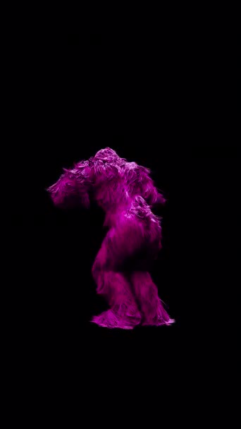 3Dアニメーション 暗い背景で踊るピンクの毛皮のキャラクターのループアニメーション 半分の速度でスローモーション Prores 4444コーデックのオリジナル4Kバージョンで 透明アルファチャンネルが直接 — ストック動画