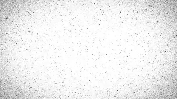 Textura Animada Con Bucles Ruido Negro Sobre Fondo Blanco — Vídeo de stock