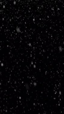 Düşen karın animasyon Noel arkaplanı dikey formatta siyah zemin üzerinde izole edilmiş. İlk 4K sürümü ProRes 4444 kodlayıcısı ve doğrudan şeffaflık alfa kanalı.