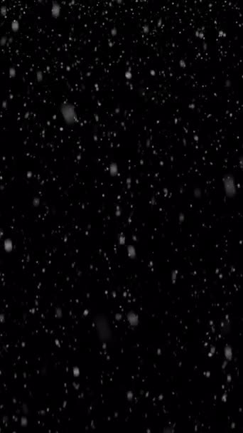 垂直形式の組成物で黒の背景に隔離された雪の落下のアニメーションクリスマスの背景をループ化 Prores 4444コーデックのオリジナル4Kバージョンで 透明アルファチャンネルが直接 — ストック動画