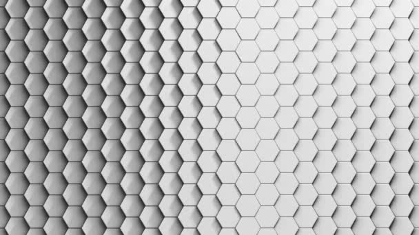 Animation White Hexagonal Loopable Abstract Background — 图库视频影像