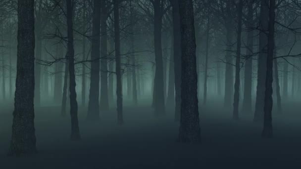 Animation Halloween Background Foggy Forest Night Parallax Style Looped Camera — Stock Video