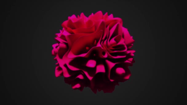 3Dアニメーション 暗い背景に流動ループアニメーションを施した抽象的なエレガントなピンクのバラのような形状 — ストック動画