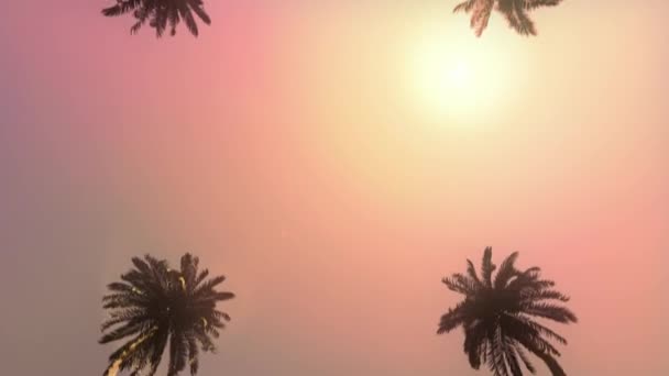 Animacja Ruch Kamery Przedniej Pętli Korytarzu Palmy Nad Pomarańczowym Niebem — Wideo stockowe