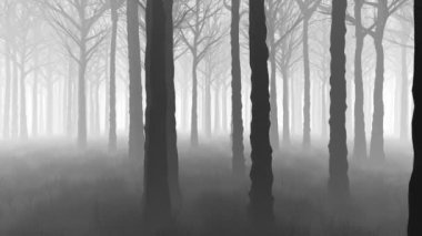 3D animasyon - Siyah-beyaz sisli orman ileri kamera hareketleriyle döngü içinde
