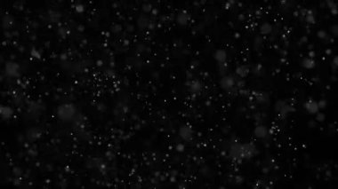 60fps 'de siyah arkaplanda havada yüzen bulanık beyaz toz parçacıklarının animasyon döngüsü.