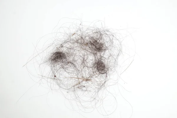Pile of Hair and Dirt on iSolated White Background, Unhealthy Hygiene Dust and Scraps on the Floor.