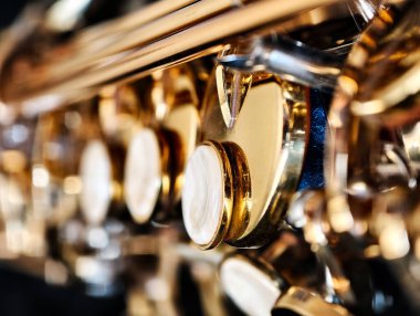 Taşıma çantasında Soprano saksafonunun makro resmi, Popüler profesyonel Jazz müzik enstrümanı. seçili odak.