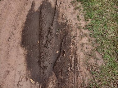 Kırsal bölgedeki çamurlu yolda lastik izleri.