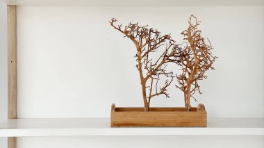 Dekoratif kurumuş ağaç dalları beyaz bir rafta sergilenen tahta bir kutuda. Minimalist doğal ev dekorasyonu konsepti, eko tasarımı, organik yaşam tarzı, zen iç mekan ve modern dekorasyon için yaratıcı arka plan teması ve sürdürülebilir yaşam için mükemmel.