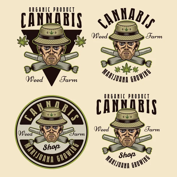 Marijuana Growing Set Four Vector Emblems Badges Labels Logos Illustration — Stock Vector