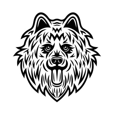 Samoyed dog head vector illustration in vintage monochrome style isolated on white