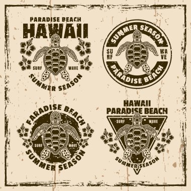 Hawaii Paradise plaj amblemleri, etiketler, rozetler ya da logolar. Grunge doku örnekleriyle arka planda illüstrasyon