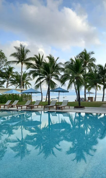 游泳馆设有棕榈树和日光浴床 图库图片