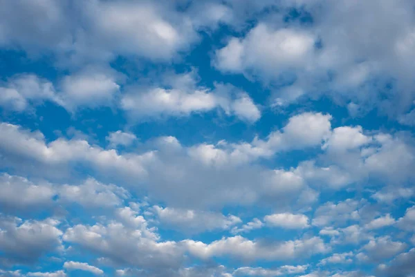 stock image White mackerel clouds against blue sky in daylight