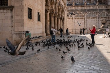 Tourists and pigeons in the Old City of Dubrovnik, Croatia