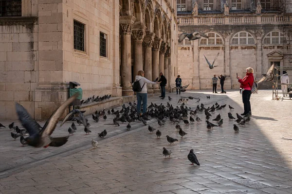 Tourists and pigeons in the Old City of Dubrovnik, Croatia