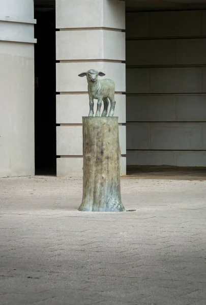 Publiczna Rzeźba Lamb Kenny Ego Huntera Canterbury Kent — Zdjęcie stockowe