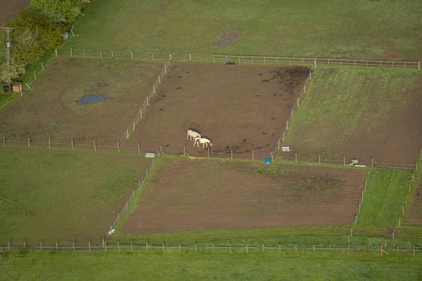 イギリスのケントの田舎にある馬のパドックの空中観察 — ストック写真