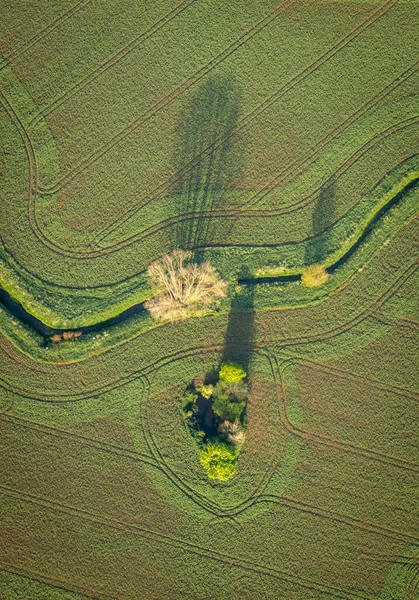 Вид Воздуха Поле Сельскохозяйственных Культур Рекой Деревьями Создающими Длинные Тени — стоковое фото