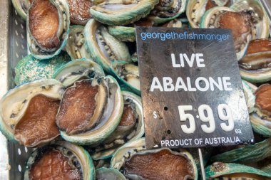 Melbourne, Avustralya, Şubat 2018 - Melbourne, Avustralya 'da satılık canlı deniz kulağı pazarı