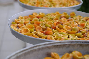 Kayısılar tepsilerde dizilip güneşte kurumaya bırakılmış.