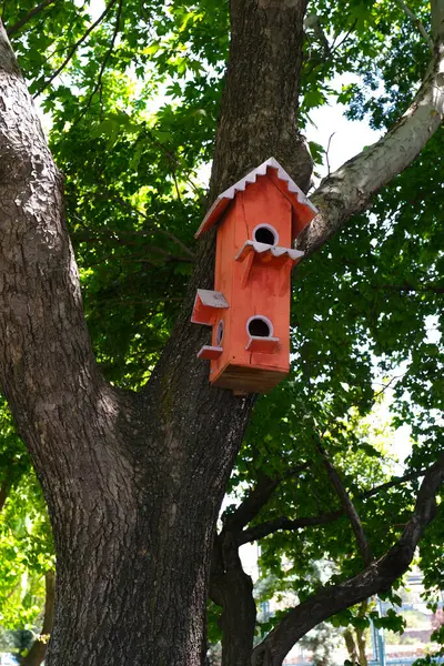 Parktaki kuş yuvası