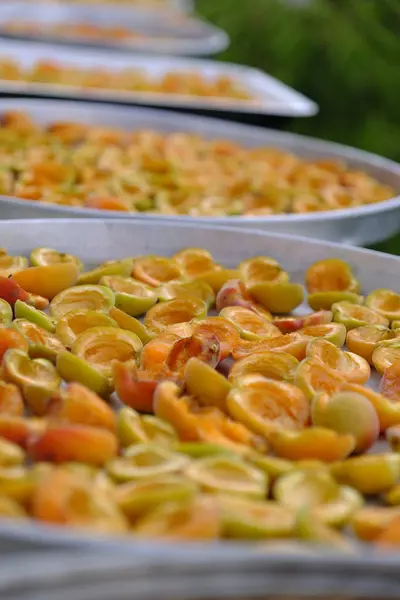 Kayısılar tepsilerde dizilip güneşte kurumaya bırakılmış.