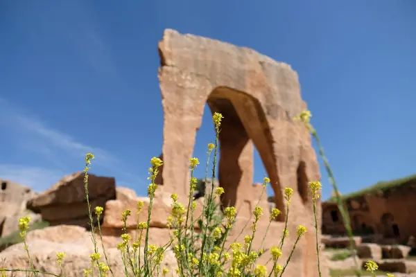 Antik İran şehrinin kalıntıları