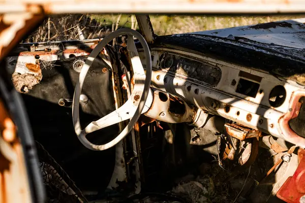 Ormanda terk edilmiş eski bir araba.