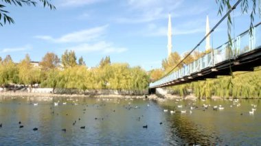 Şehirdeki güzel göl manzarası
