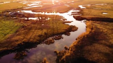 Güzel bir gün batımının hava aracı görüntüsü